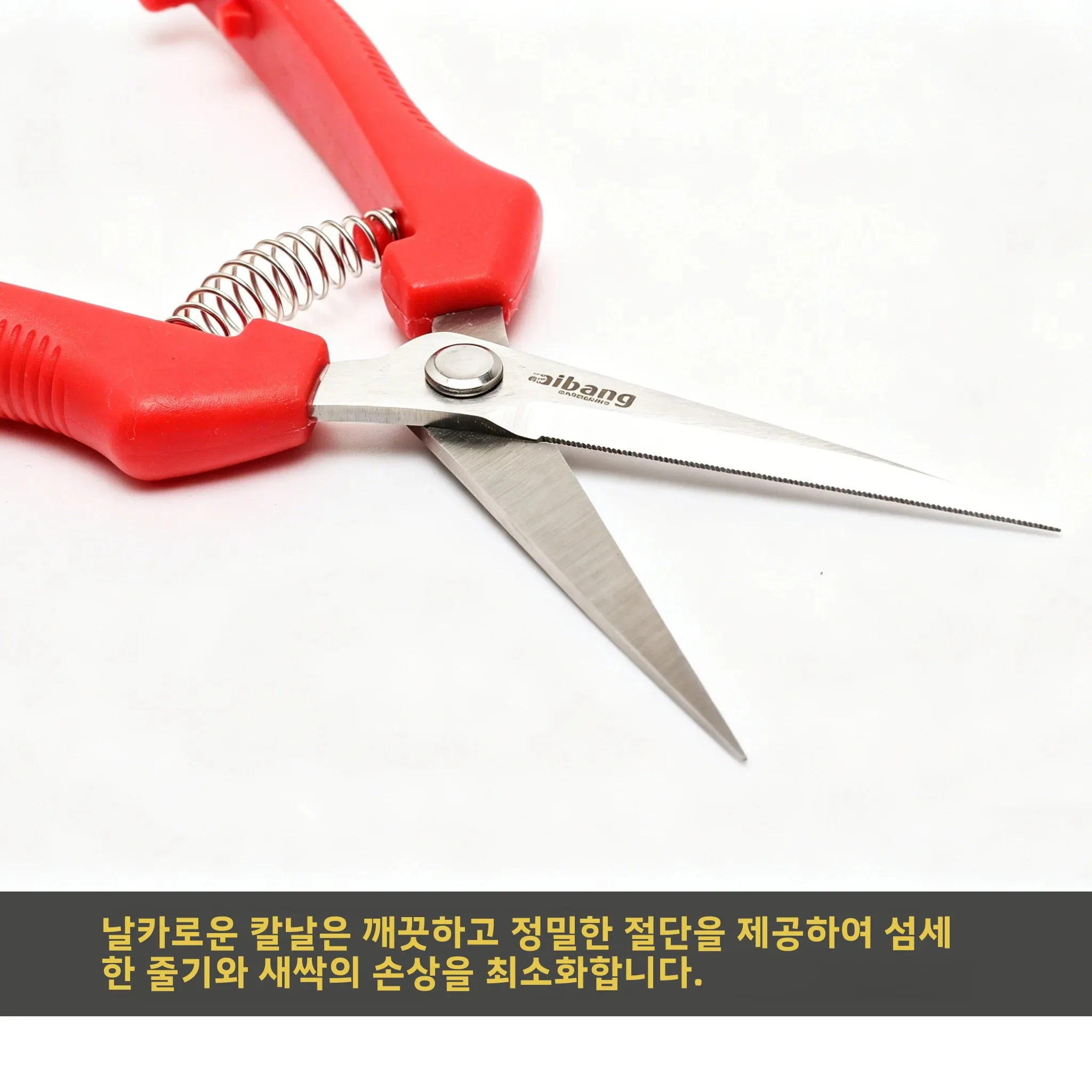 가지치기 가위 포도 가위 정원 도구 채소밭 분재 전문가용 스테인리스 스틸 과일 따기용 잠금장치 포함 새 제품
