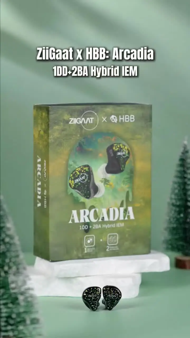 ZiiGaat x HBB Arcadia 1DD+2BA Hybrid IEM Earphones