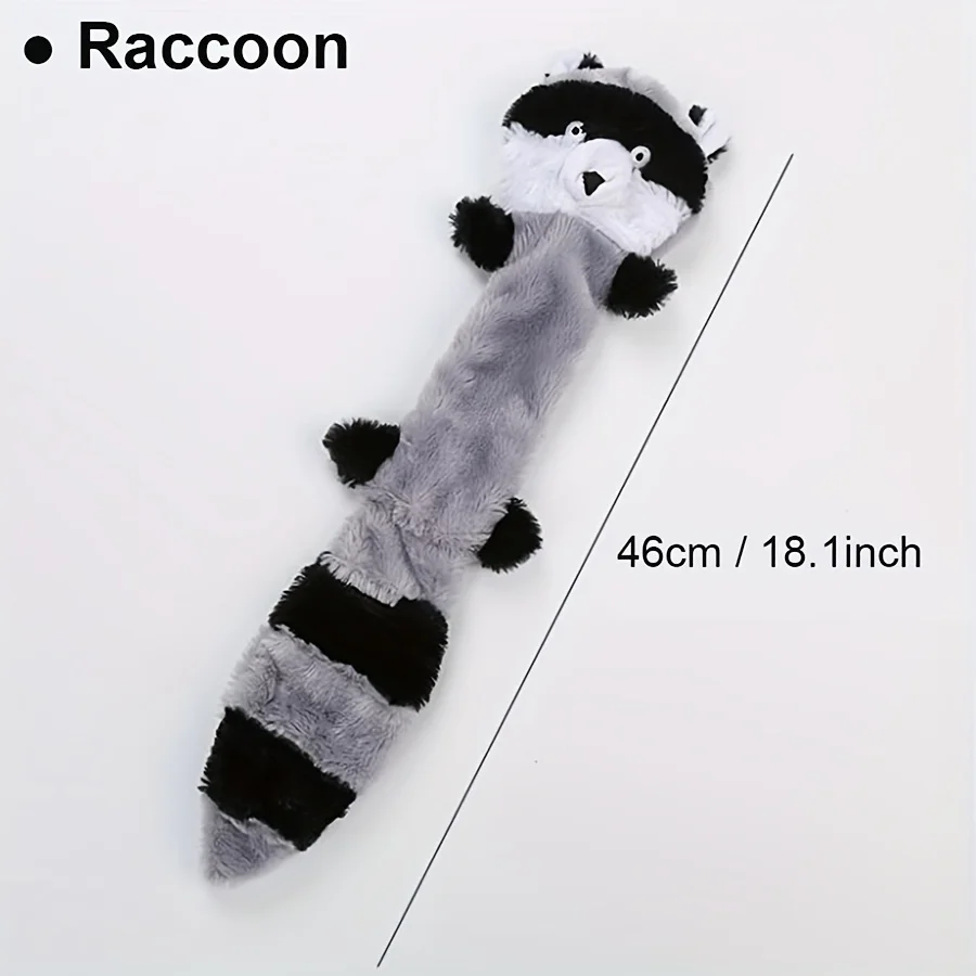 Raccoon