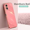 Hawthorn Red