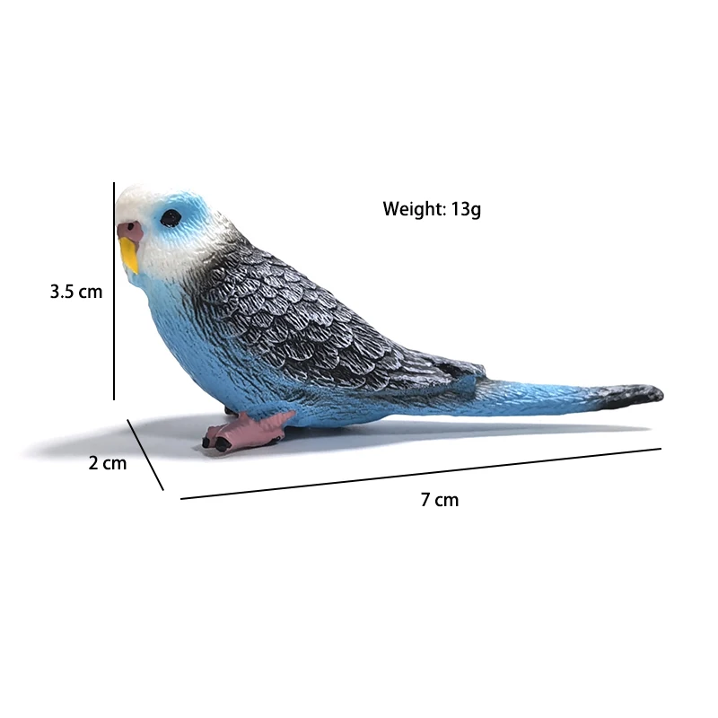 Mini süße simulierte Papagei Kinder Ornament Spielzeug Tier Modell PVC Kunststoff Handwerk Ornament Zoo künstliche Vogel Statue Hause – Detail 8