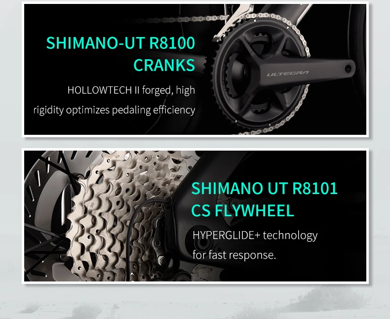 SAVA nueva hoja SLR8 C60 bicicleta de carretera de fibra de carbono, bicicleta DI2 para adultos 700C con componentes SHIMANO ULTEGRA Di2 R8170 bicicleta de carreras de alta gama