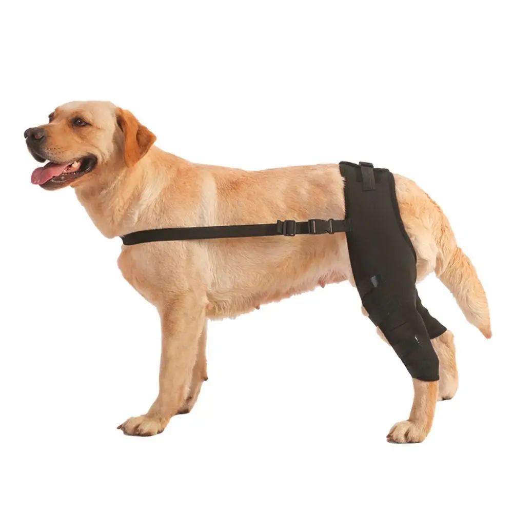 Dog leg support brace image 5
