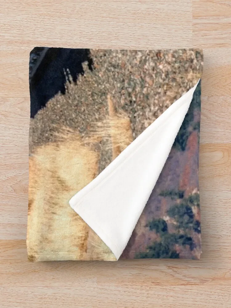 ���Ͽ� �۽��� 844 ������ ���, �ö��� ���� ���