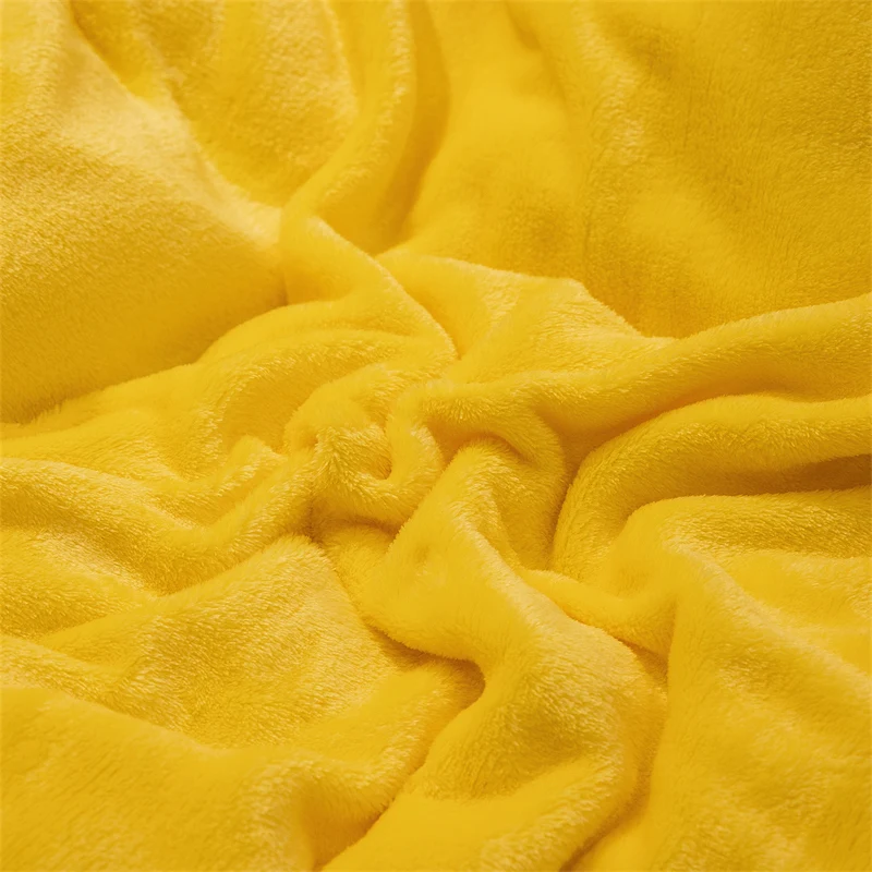 Luxury Crystal Velvet Sheet Flannel Flat Bed Sheet Set Single King Size Bedspread Cover Linen Sheets Warm Bedspread Coverlet 4