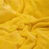 Luxury Crystal Velvet Sheet Flannel Flat Bed Sheet Set Single King Size Bedspread Cover Linen Sheets Warm Bedspread Coverlet 4