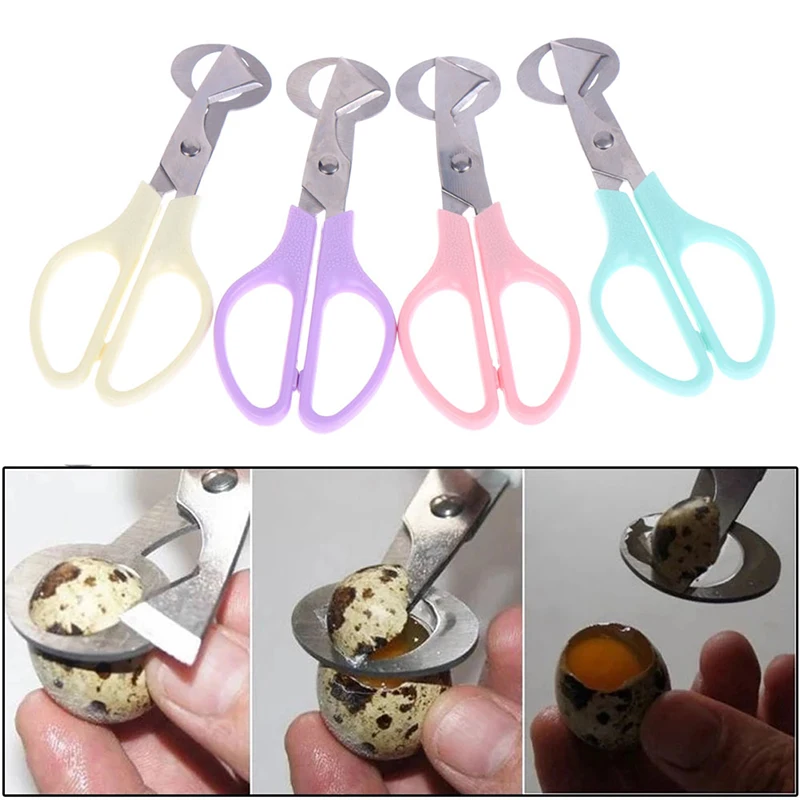 Egg Slicer Egg Shell Scissors Quail Egg Scissors Bird Egg Scissors Stainless Steel Cutters EggShell Cutters Opener Kitchen Hand Tools