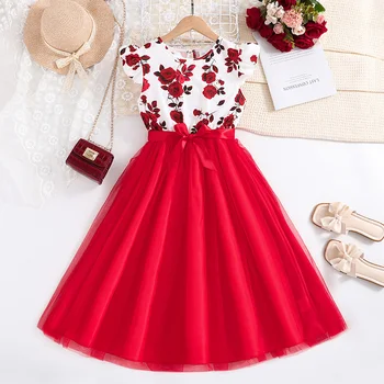 Ruffled Rose Princess Dress 1