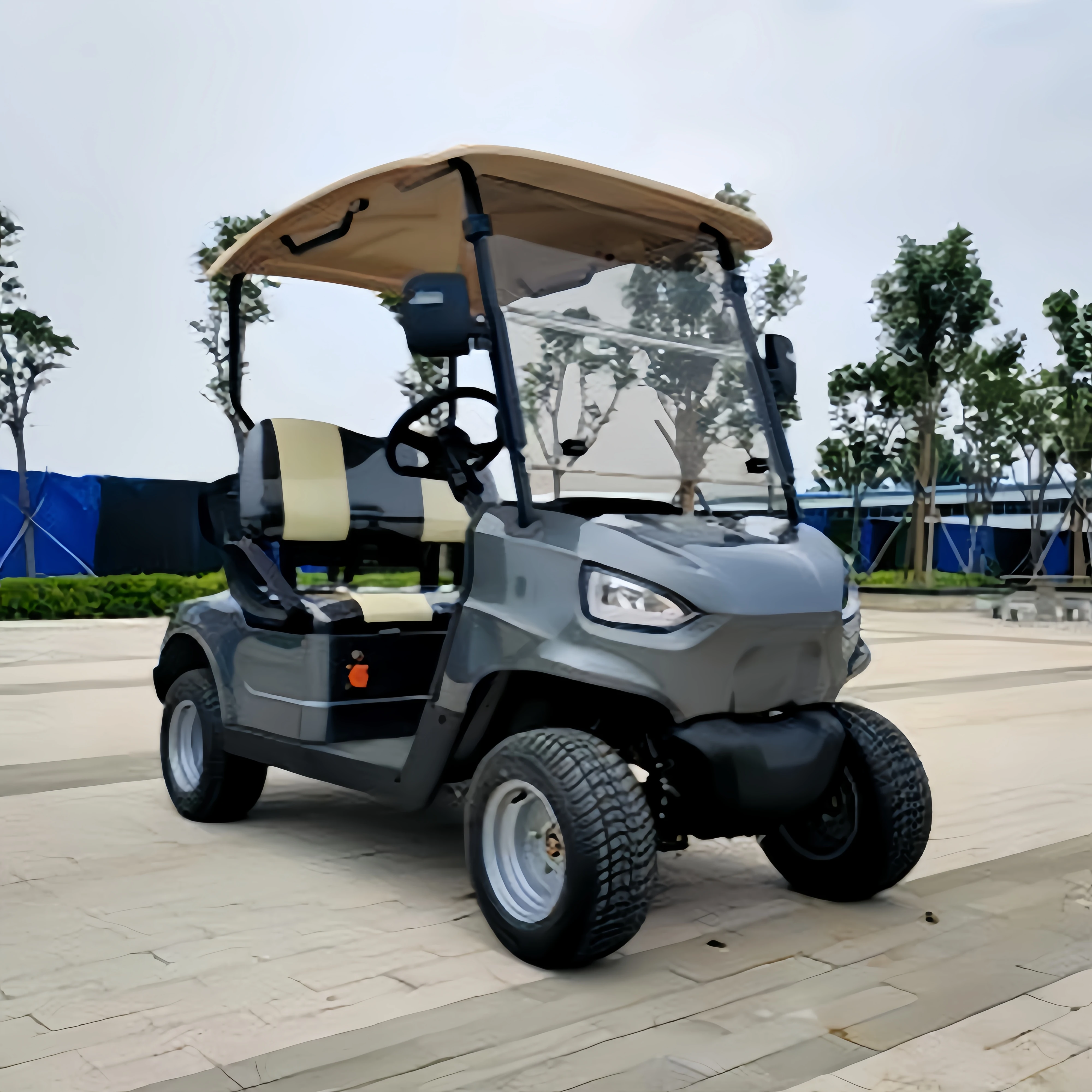 48v golf cart battery 6 seater electric golf cart street legal adult car for sale