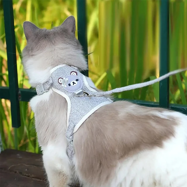 Kittens Harness Pet Collar Supplies for Cats Small Breeds Products Pets Collars Kitten Products Pet Puppy Harness Things 3
