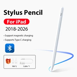 Premium Stylus Pen and Accessories (Stylus Pencil)