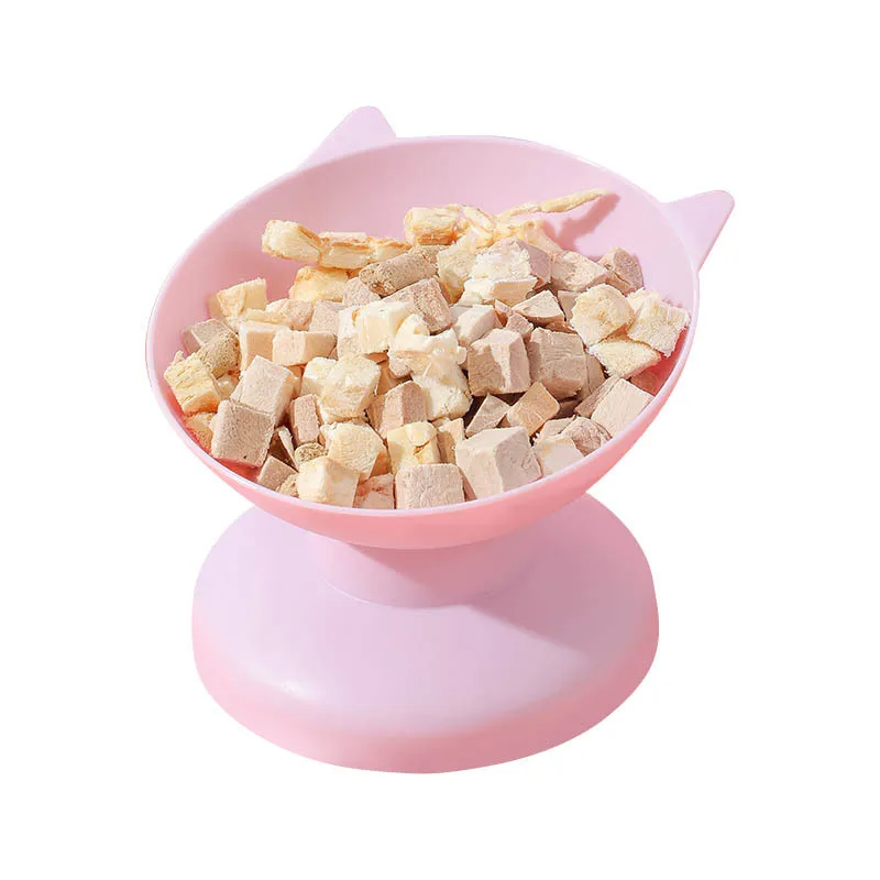 Tilted Anti-Choking Pet Bowl 6
