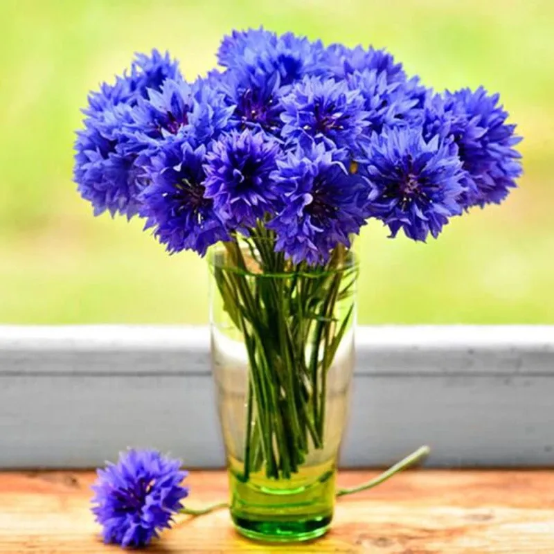 CoolCrafts 4 Zakken Gedroogde Bloemen (30g/zak) Natuurlijke