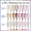 CHUNSHU 3in1 Sparkle Reflective Cat Magnetic Gel Nail Polish 10ml Platinum Sliver-light Shine Cat Eye Glitter Nail Gel Varnish 3