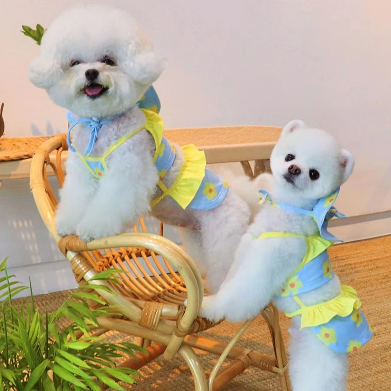 Summer Cute Puppy Dog Swimming Suit Hat Set for Small Dogs - PeticaDeals