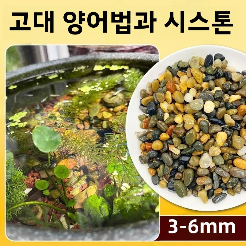 5-Pack Volcanic Rock Aquarium Plant Anchors - Random Color Stones For Aquascaping & Fish Tank - View #2