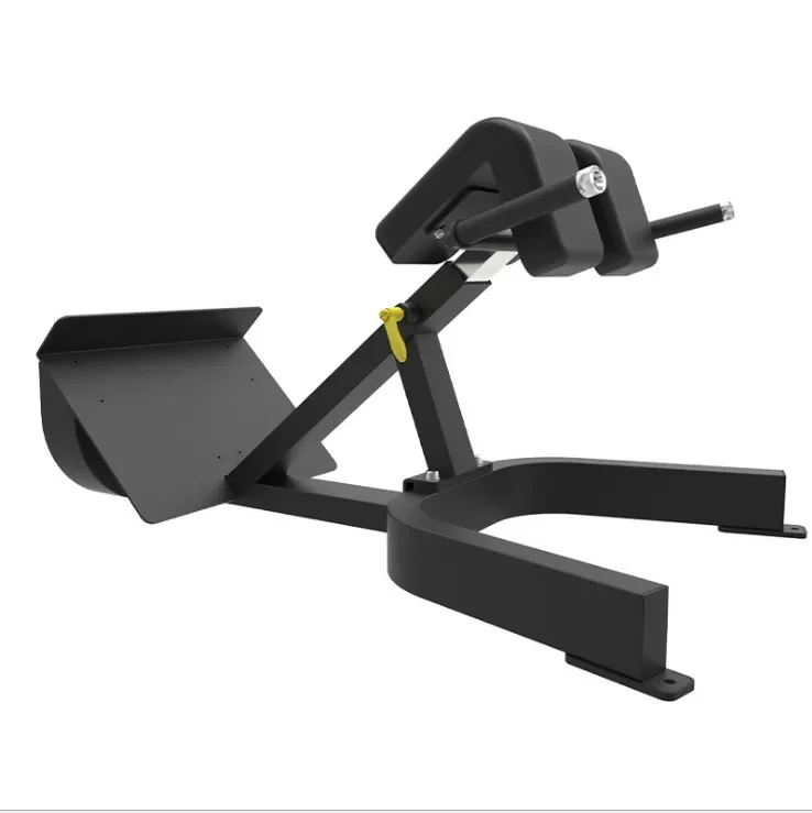 

High-quality fitness equipment Roman Chair Reverse hyper extension Lower Back Exercise Benches 45 Degree Back Extension