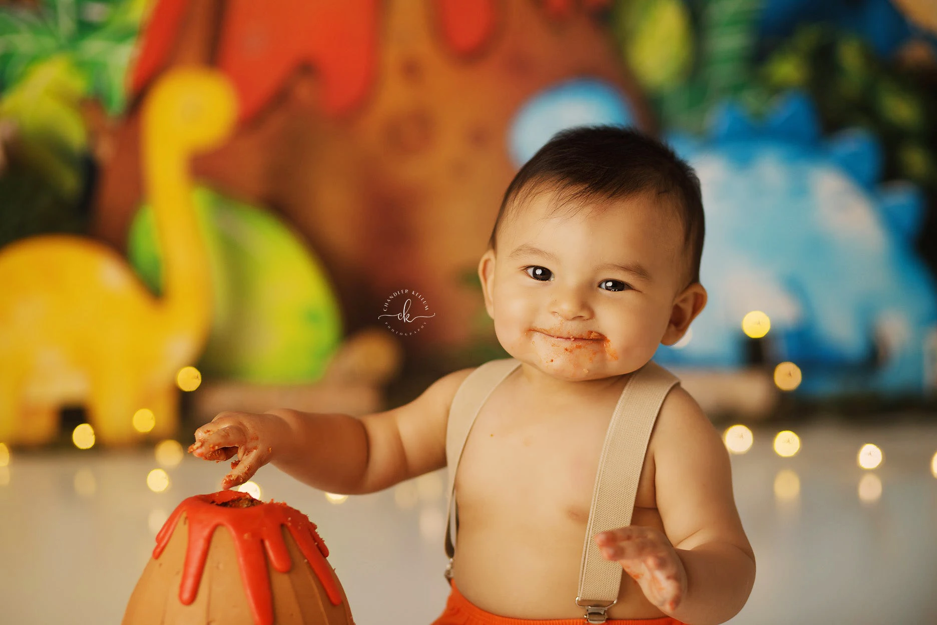 Dinosaur Park Backdrop Kids Baby Birthday Cake Samsh Props Child Adult Photocall Decors Photostudio Dinosaurs Background photo backdrop
