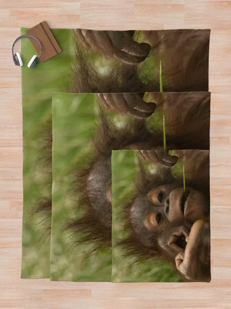 ������ź  ������ ��� ħ�� ���ſ� �̵� �ҷ��� ���