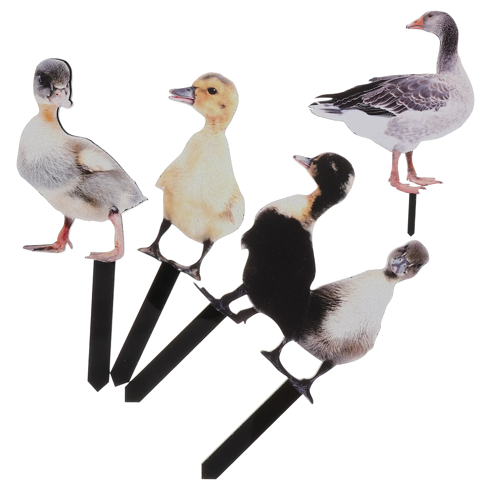 

Outdoor Duck Garden Stakes Animal Sculpture Realistic Lifelike Acrylic Poultry Statue Yard Lawn Decor Gnomes