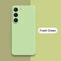 Fresh Green