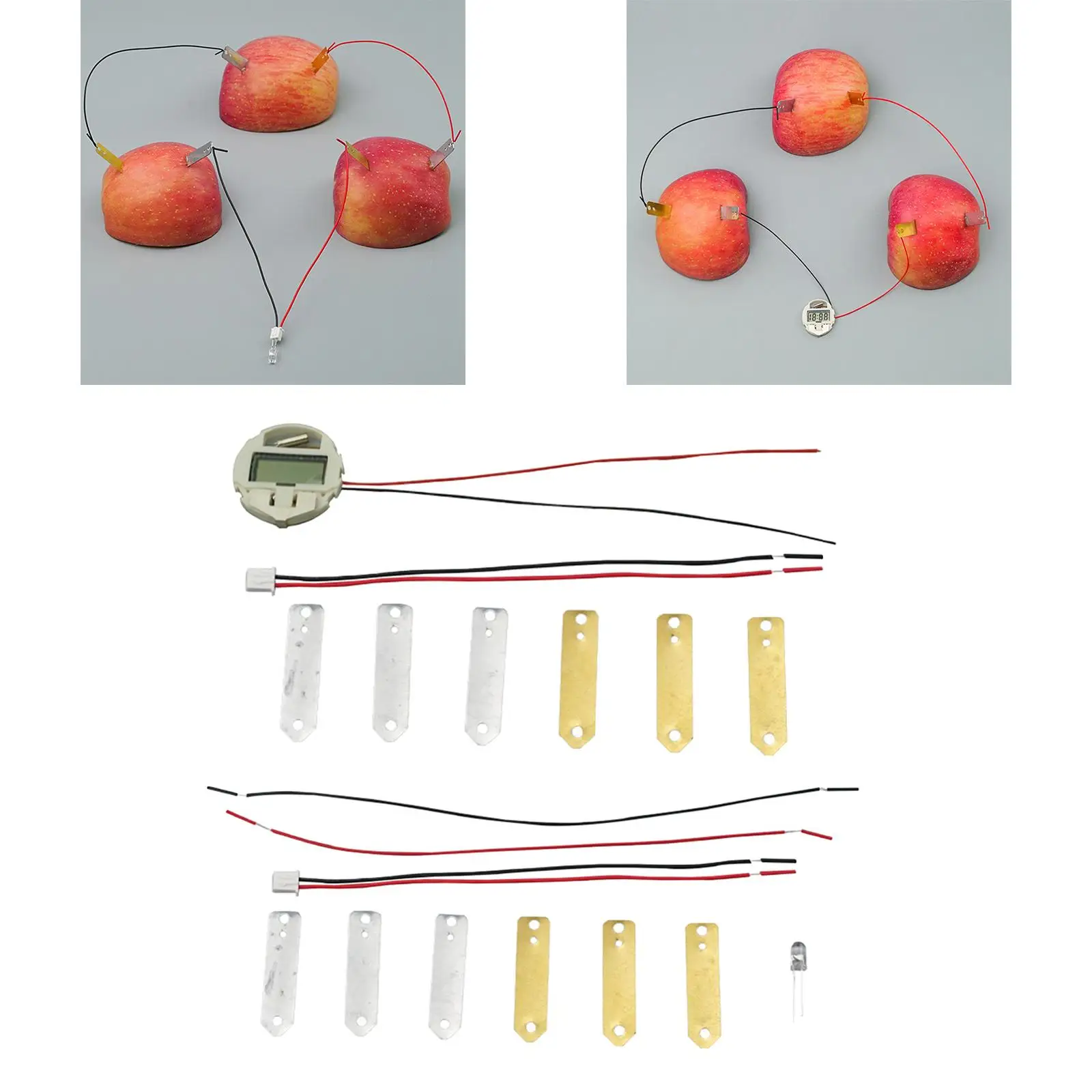 

DIY Fruit Battery Potato Electricity Experiments Toys for Girls