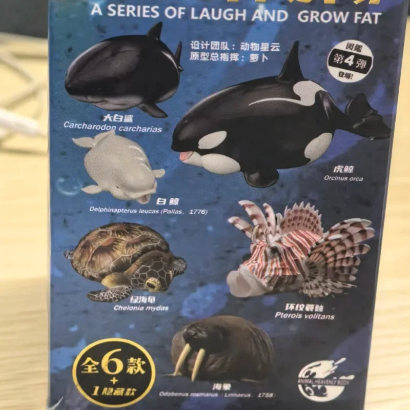 Figura di animali grassi Biologia dell'oceano 4a generazione Giocattolo Regalo di compleanno - immagine 4