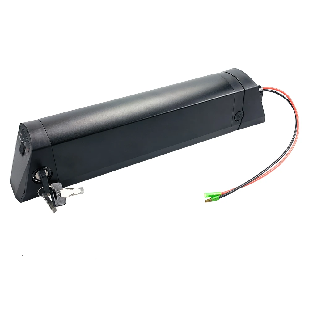 

Reention Rocket ebike frame 36V 10.4Ah 12.8Ah 14Ah 250W 500W bottle battery pack with 42V 2A Charger