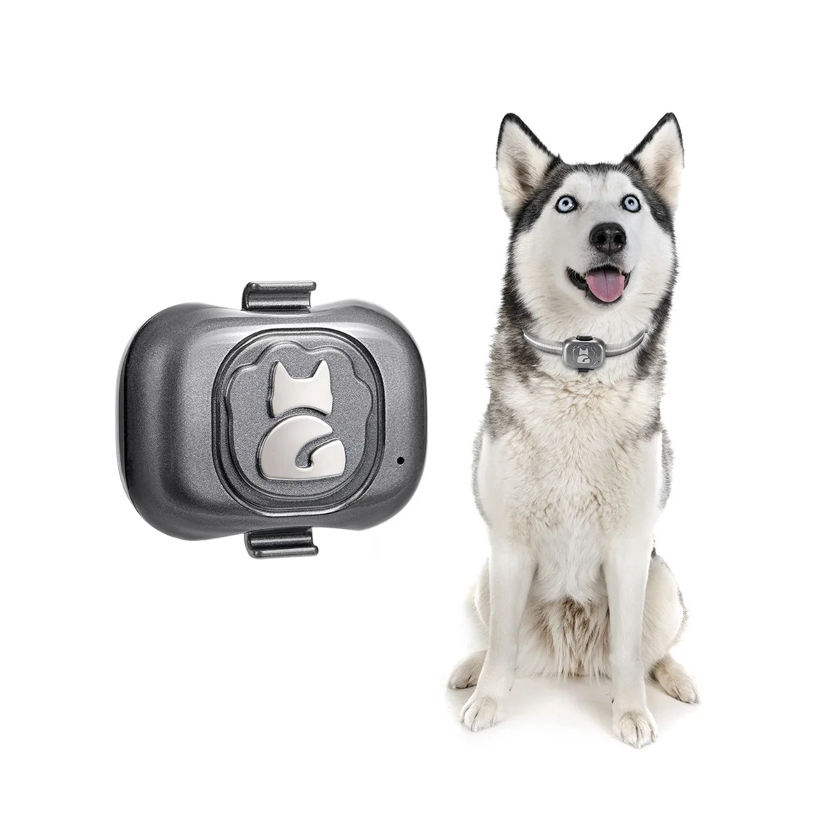 Tracker for Dog 2
