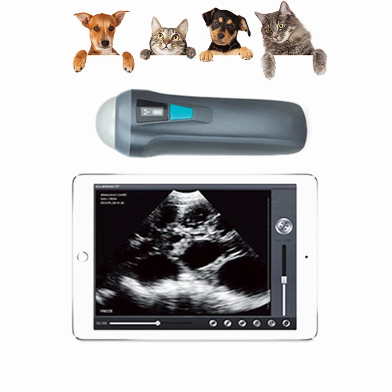 

Sector Probe Veterinary Pregnancy Wireless Waterproof B Ultrasound Scanner For Cows Cat Dog Pig Cattle Sheep Horse Farm Use