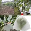 100/50Pcs Garden Fruit Protection Bags Non-woven Fabric Grape Protection Bags Anti-bird Insect Barrier Pouch for Apple Vegetable 3