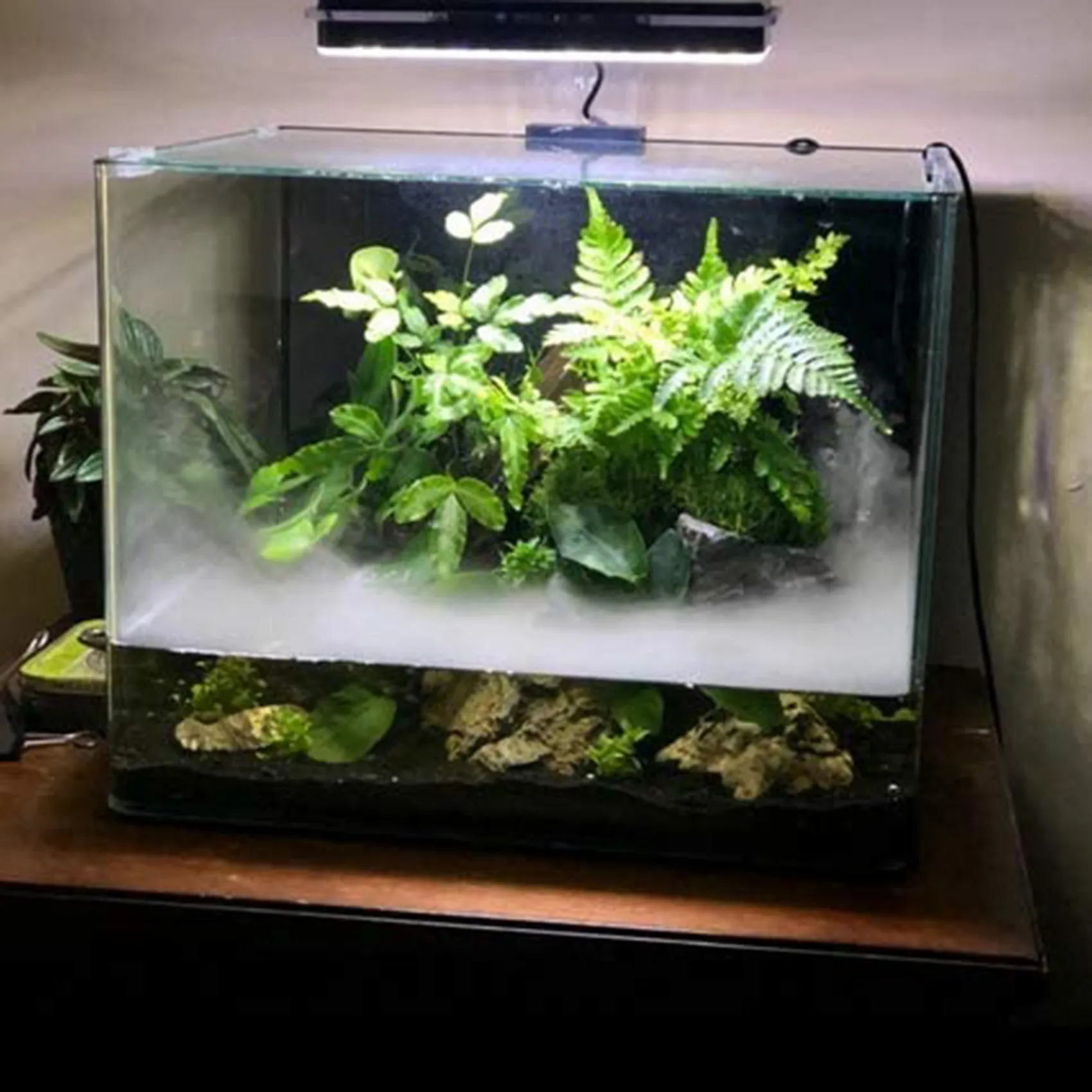 Slide image 1f06d29c5bc840d39da357e2b25f2ac0