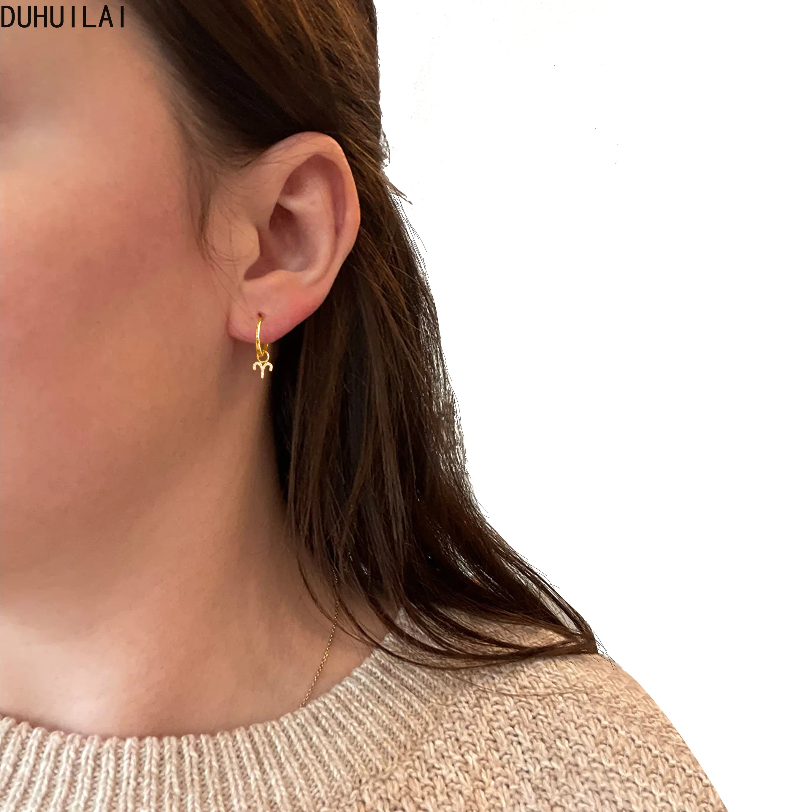 Custom 12 Zodiac Cubic Crystal Zircon Pendant Personalized Stainless Steel Women's Ear Buckle Luxury High-quality  Earrings