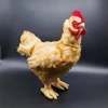 Hen High Fidelity Anime Cute Rooster Plushie Cock Plush Toys Lifelike Animals Simulation Stuffed Doll Toy Gifts For Kids 1