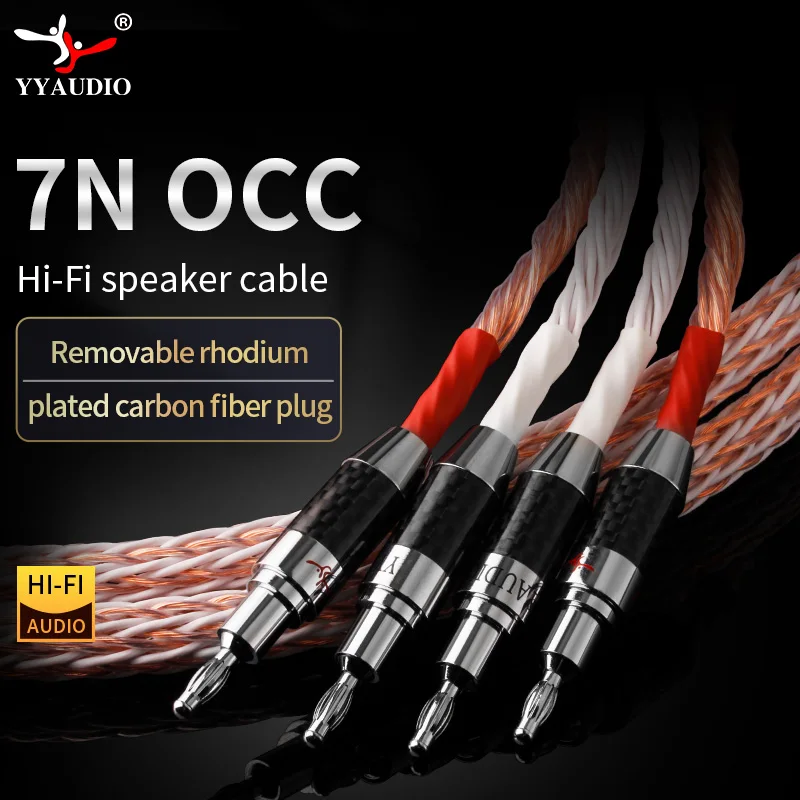 1 paire de câbles de haut-parleur OCC HiFi 12TC 24 cœurs