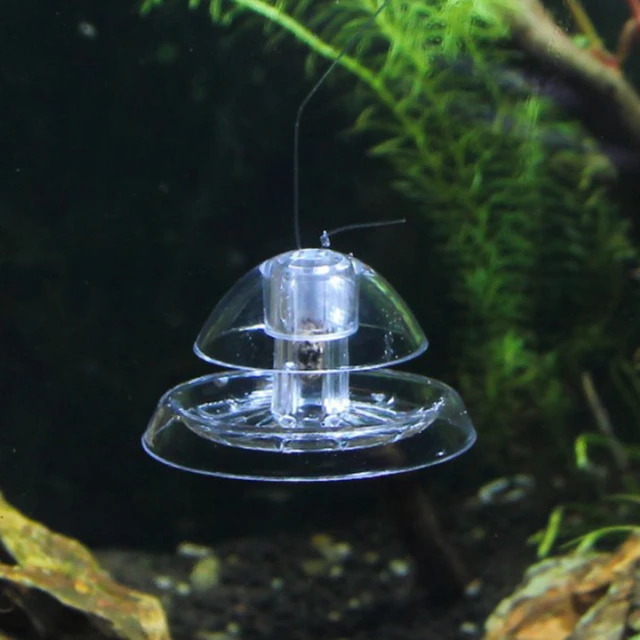 Fish Tank Accessories Aquarium Plant Snail Trap Catcher Plastic Leech Planaria Pest Catch Box Fish Tank Aquarium Cleaning Tool 3
