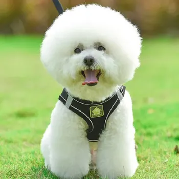 Reflective Dog Harness and Leash Set for Dogs 9