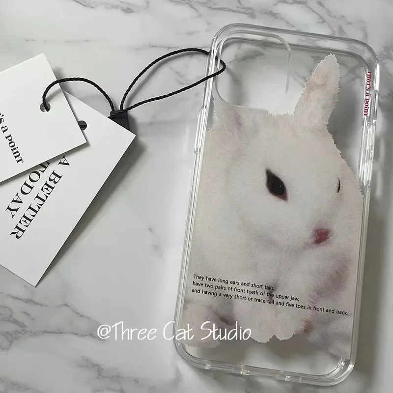 รูปสินค้า เคส iPhone ลายกระต่ายน่ารักสไตล์เกาหลี