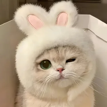 1pc Bunny Ears Cat Hat 1