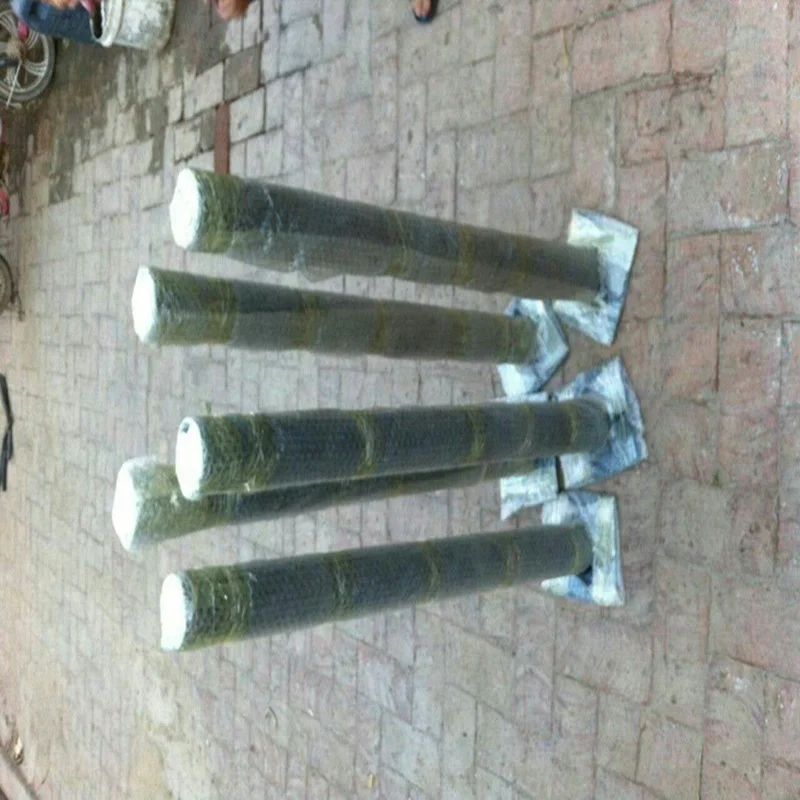 Рисунок 6 - Сетчатая антенна c band 1