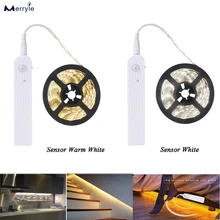 

Battery Power PIR Motion Sensor Cabinet Light 2835 Light Strip with Infrad Human Body Induction AUTO ON/OFF for Bedroom Stair