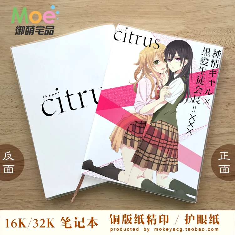 Citrus Anime Manga Series Background Wallpaper 103752 - Baltana-demhanvico.com.vn