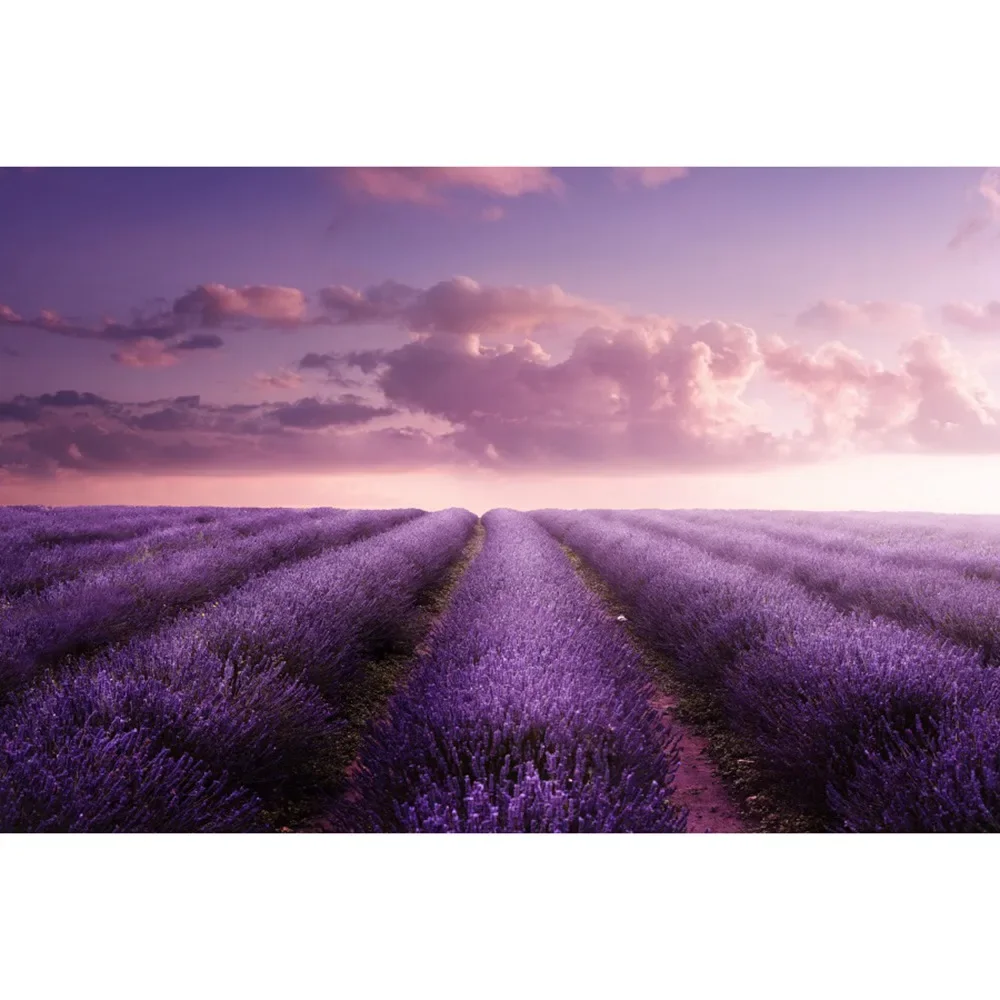 thumbnail image 1 of MOON.QG Fondo de fotografía de campo de granja de primavera, paisaje de pastizales con girasoles, fondo para sesión fotográfica de fiesta, decoración personalizada, accesorios para fotos, 1 of 5