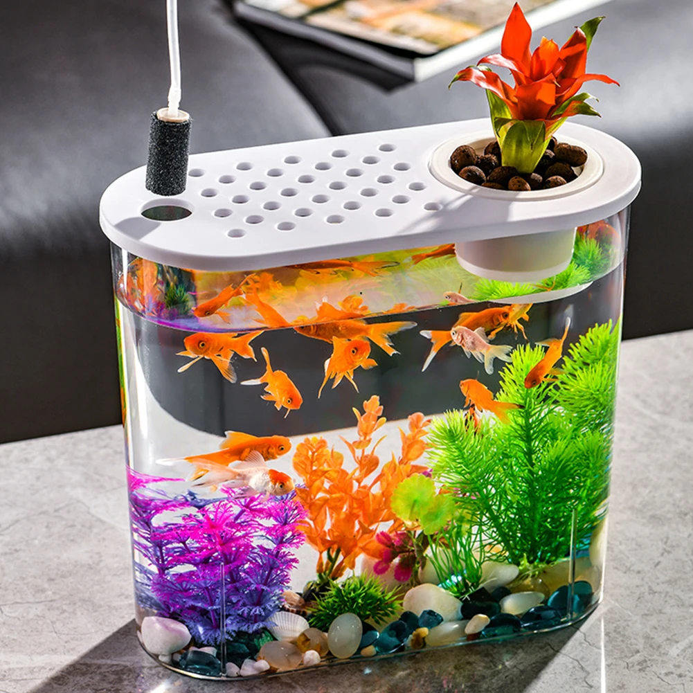 Décoration de haute qualité et naturelle pour un aquarium d'eau douce -   Canada