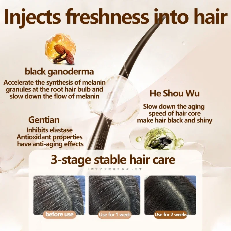Natural Herbal Ganoderma Lucidum Black Hair Shampoo Permanent Effective White Turn Black Strengthen Hair Roots 520ml 6