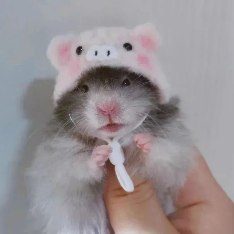 Pet Headgear Small Animal Clothes Hamster Golden Silk Bear Plush Cute Little Hat Photo Props Pure Hand Crocheted Pet Woolen Hat Winter Mini Pet Supplies