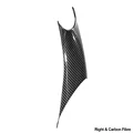 Right Carbon Fiber