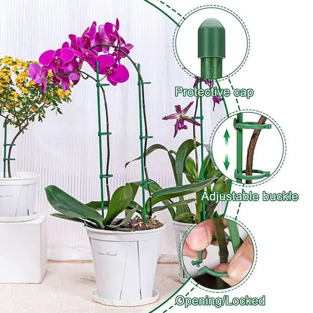 10Pcs Plant Support Stakes 12 Inch Green Plant Sticks With Adjustable Retaining Ring Indoor Outdoor Garden Flower Pot Stand 10Pcs Plant Support Stakes 12 Inch Green Plant Sticks With Adjustable Retaining Ring Indoor Outdoor Garden Flower Pot Stand