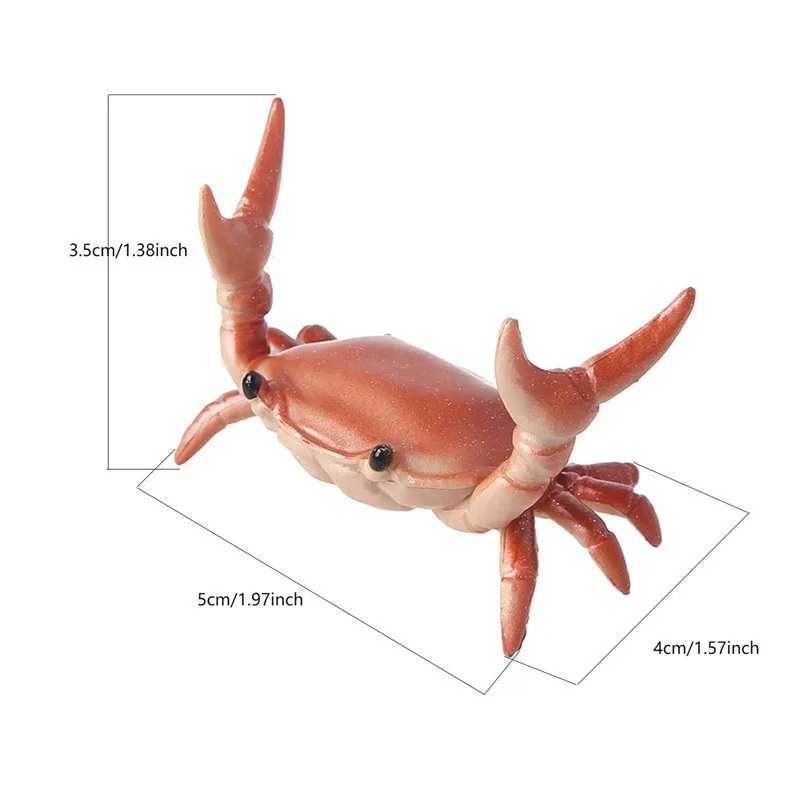 Weightlifting Crab Pen Holder Simulation for Students