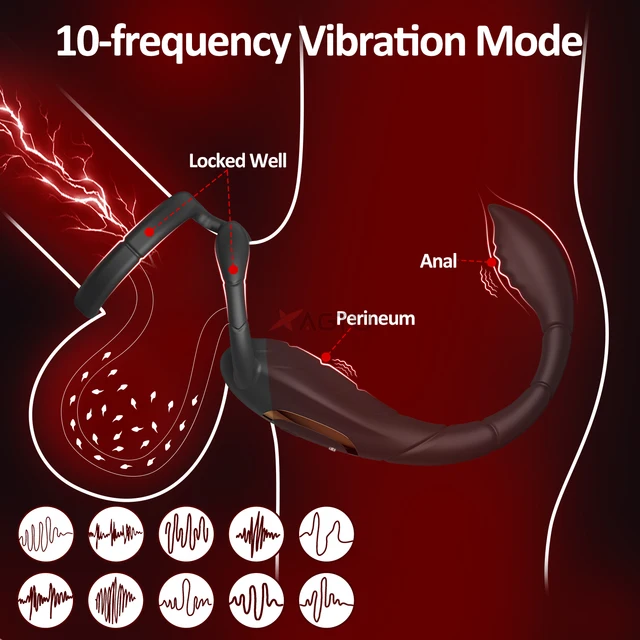Männlicher Penisring Prostata Vibrator Doppelring Analplug Stimulieren Verzögerung der Ejakulation Männlicher Masturbator Sexspielzeug für Männer 1
